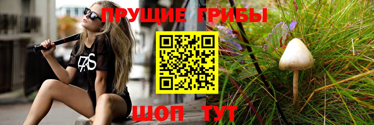 Домодедово  Галлюциногенные грибы MAGIC MUSHROOMS  Галлюциногенные грибы Psilocybine cubensis  Вход с VPN 
