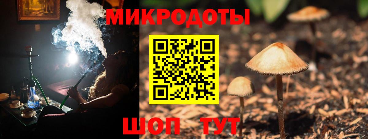 Псилоцибиновые грибы мухоморы Домодедово
